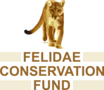 Logo of Felidae Conservation Fund