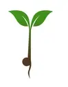 Logo of The Mustard Seed Project
