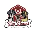 Logo of BIG BONES CANINE RESCUE SERVICE