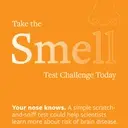 Logo of INSTITUTE FOR NEURODEGENERATIVE DISORDERS INC