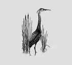 Logo of SEVEN PONDS NATURE CENTER