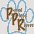 Logo of Pound Puppy Rescue