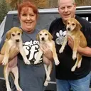 Logo of SFC VIRGINIA