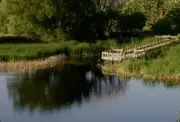 Logo of Bluff Lake Nature Center