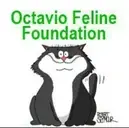 Logo of OCTAVIO FELINE FOUNDATION CORP