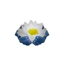Logo de The Lotus Project LLC