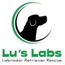 Logo of LUS LABS LABRADOR RETRIEVER RESCUE INC