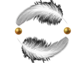 Logo of GODS BLESSINGS PLAN INC