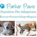 Logo of Parker Paws