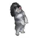 Logo de Chappy & Friends
