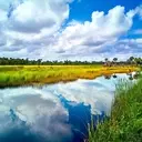 Logo of Merritt Island National Wildlife Refuge