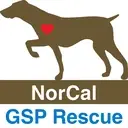 Logo of NorCal GSP Rescue