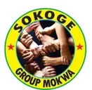 Logo de Sokoge Group Mokwa