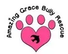 Logo of Amazing Grace Bully Rescue