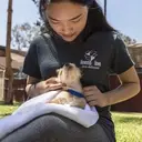 Logo of LINENS N LOVE