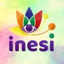 Logo of INESI