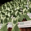 Logo of Chromosome Disorder Outreach Inc.