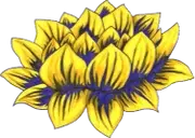 Logo of Song of the Morning Yoga Retreat Center