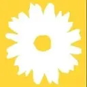 Logo of DASI - Domestic Abuse & Sexual Assault Intervention Services