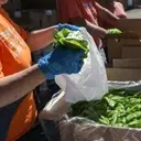 Logo of Blue Ridge Area Food Bank