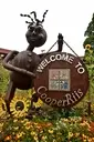 Logo of CooperRiis, a Healing Farm Community