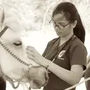 Logo of International Veterinary Outreach