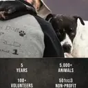 Logo of TURTLE MOUNTAIN ANIMAL RESCUE A COR PORATION