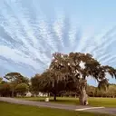 Logo of Varner-Hogg Plantation State Historical Site