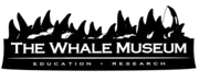 Logo of The Whale Museum