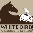 Logo of White Bird Appaloosa Horse Rescue