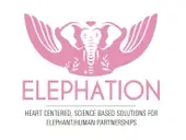 Logo de Elephation