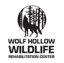 Logo of Wolf Hollow Wildlife Rehabilitation Center