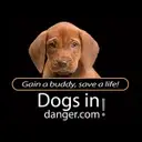 Logo of DogsInDanger.com