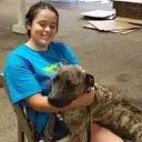 Logo of KOKOMO HUMANE SOCIETY