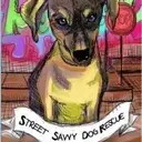 Logo of STREET SAVVY DOG RESCUE