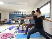 Logo of Vikara Village®