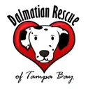 Logo of Dalmatian Rescue of Tampa Bay