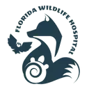 Logo of Florida Wildlife Hospital, Inc.