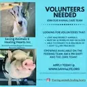 Logo of SAVING ANIMALS & HEALING HEARTS INC