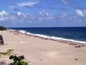 Logo of Friends of MacArthur Beach State Park