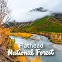 Logo of USDA Forest Service Flathead National Forest
