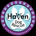 Logo of HAVEN DOG RESCUE