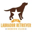 Logo of DALLAS FORT WORTH LABRADOR RETRIEVER RESCUE CLUB INC