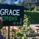 Logo of Grace Grows