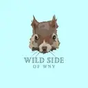 Logo of WILD SIDE OF WNY INC