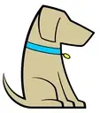 Logo of PAWS of CNY, Inc.