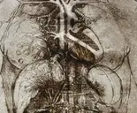 Logo of The Emotion, Health and Psychophysiology Lab - University of California, San Francisco