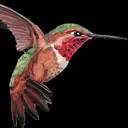 Logo of PALOS VERDES-SOUTH BAY AUDUBON SOCIETY