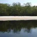 Logo of PERMACULTURE IN PARADISE INC