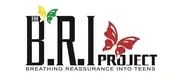 Logo of THE BRI PROJECT